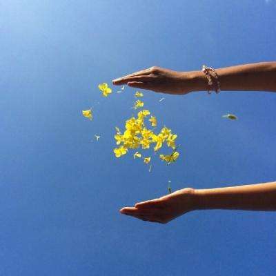 赛博体育手机app下载